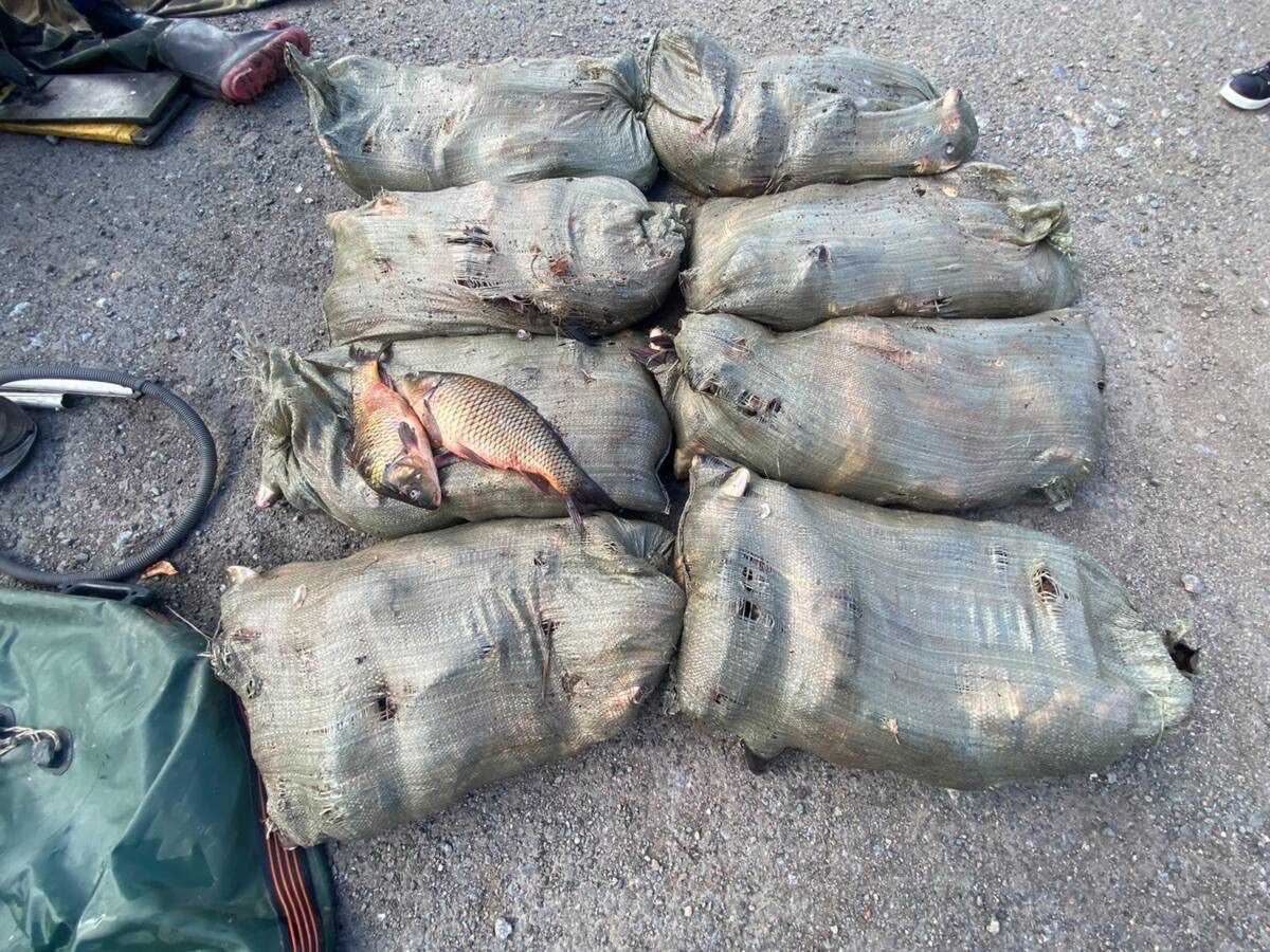 Незаконный улов: более 260 кг рыбы изъяли у жителя Акмолинской области