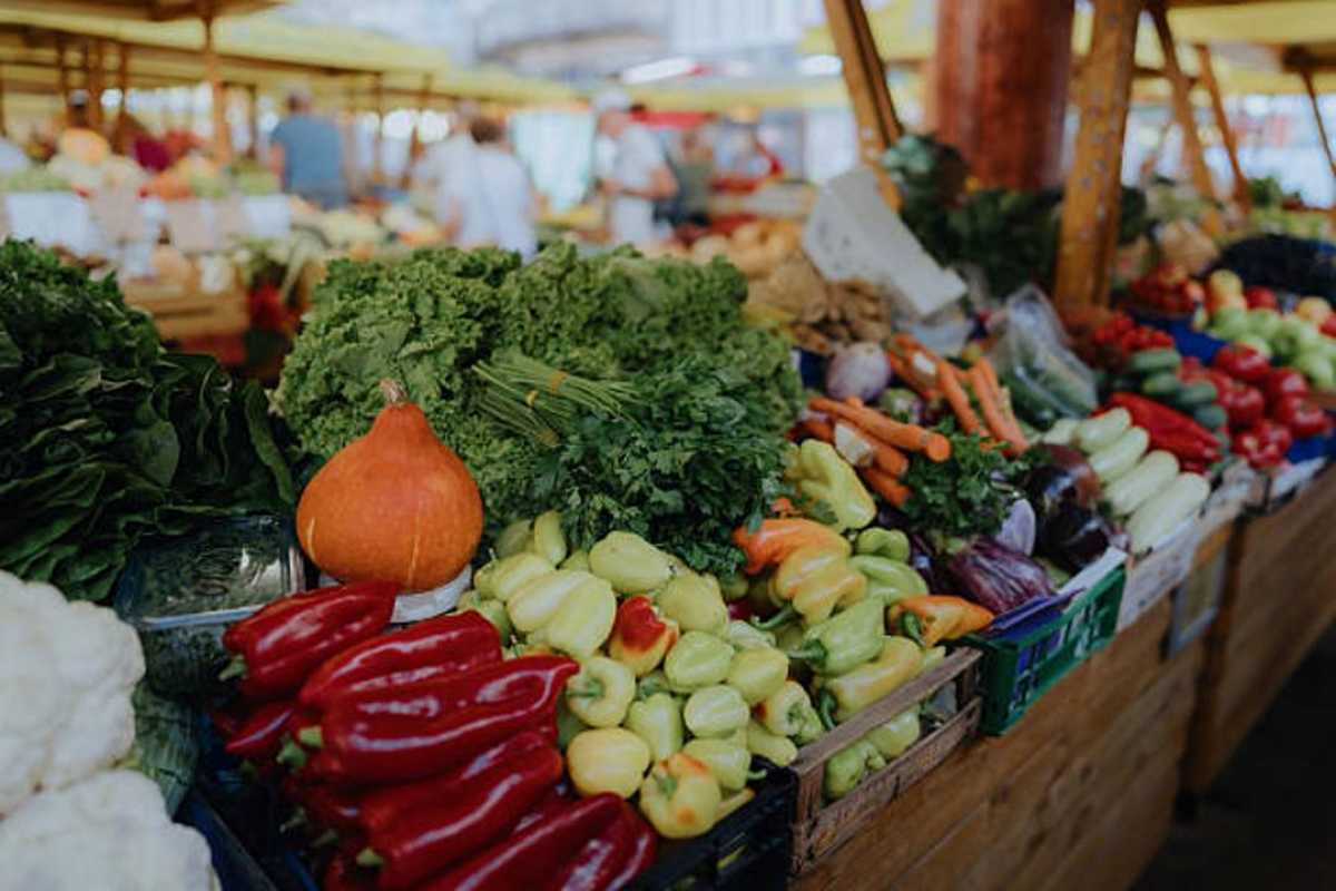 Алматинская область привезла в Астану 180 тонн сельхозпродукции