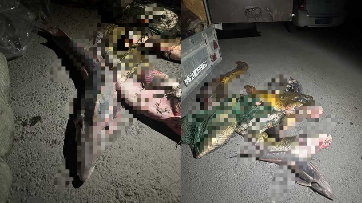 Почти 130 кг рыбы изъяли у браконьеров в Жетысуской области