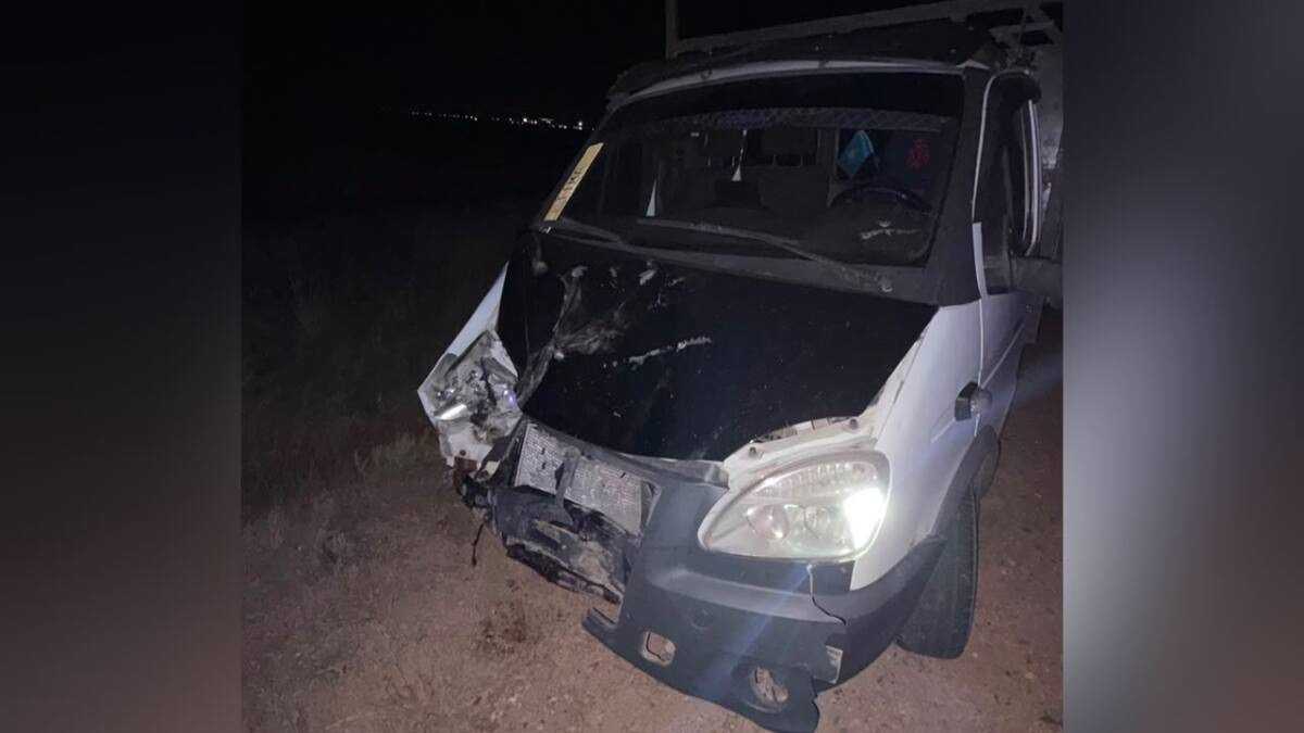 Лошадь выбежала на дорогу и стала причиной ДТП в Акмолинской области