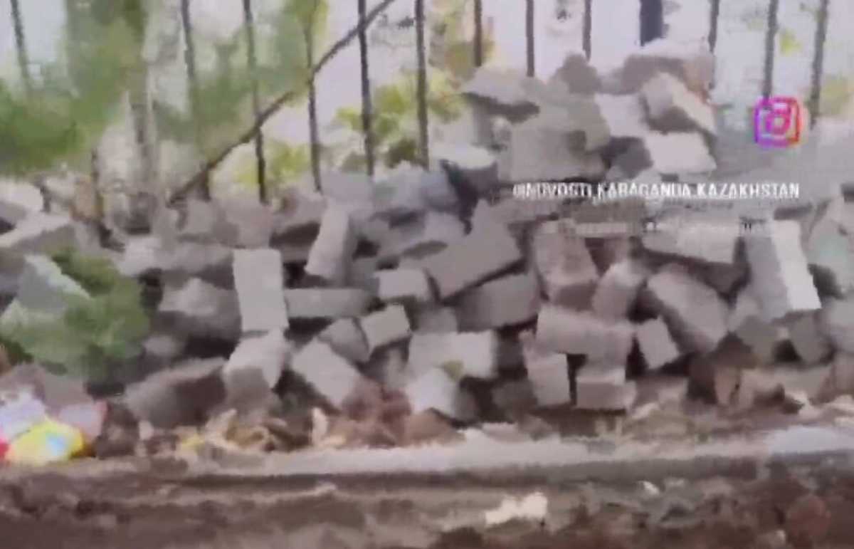 Застройщика обязали высадить 100 саженцев после жалоб жителей в Караганде