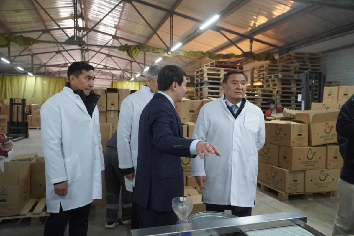 Птицефабрика «Ақкөл Құс» увеличит производственные мощности до 200 млн яиц в год