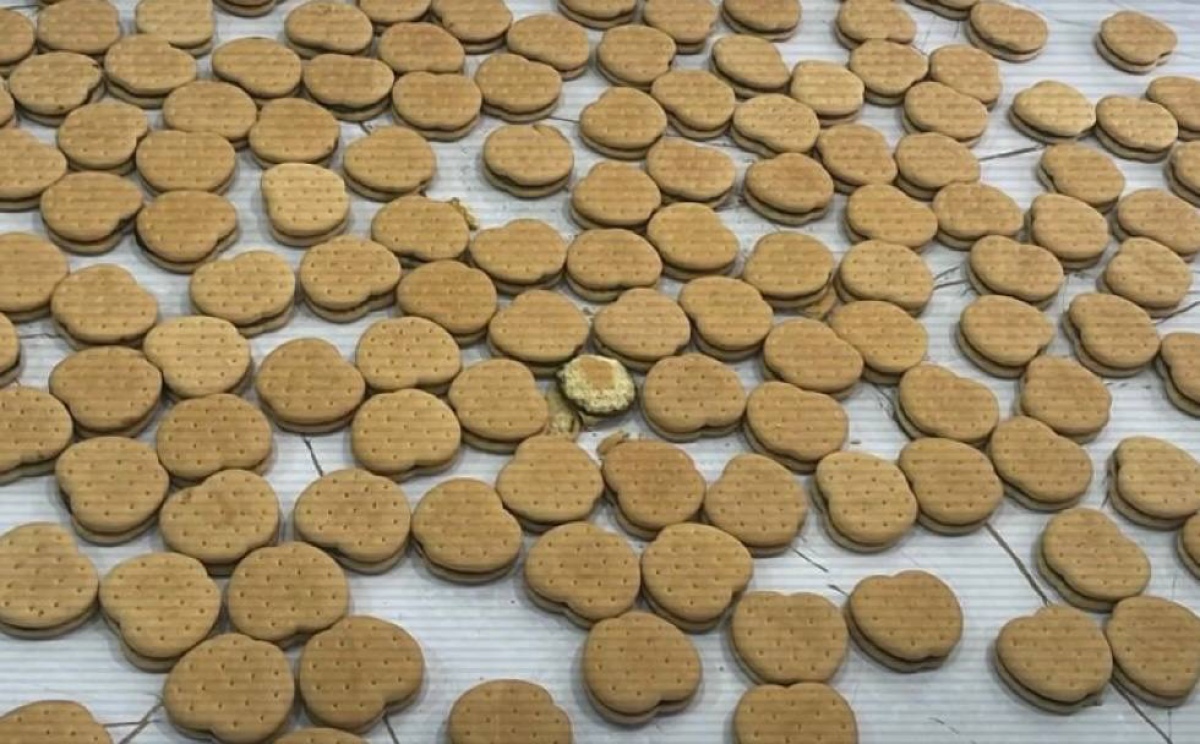 Наркотики в печенье: пятерых участников наркомагазина задержали в Астане