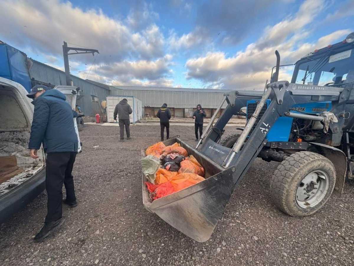 Подпольный мясной цех обнаружили в Астане