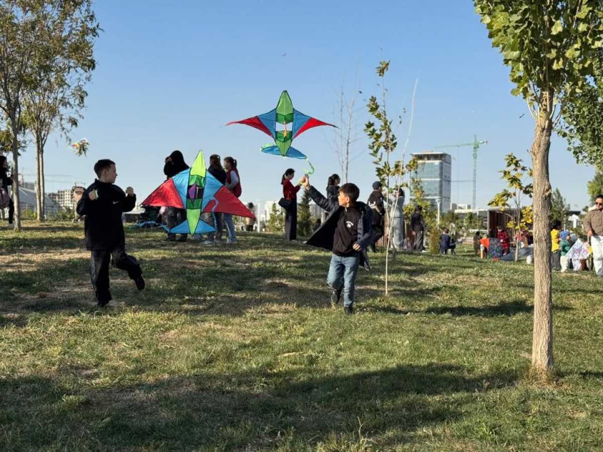 Тысяча воздушных змеев украсила небо над Шымкентом в День Республики
